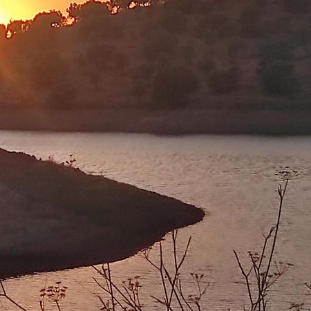 فيلا Nova Quinta Moderna Torramo Em Oliveiras, Campo De Laranjas, Na Nacional 2, Alentejo 13750 M2 Torrão المظهر الخارجي الصورة