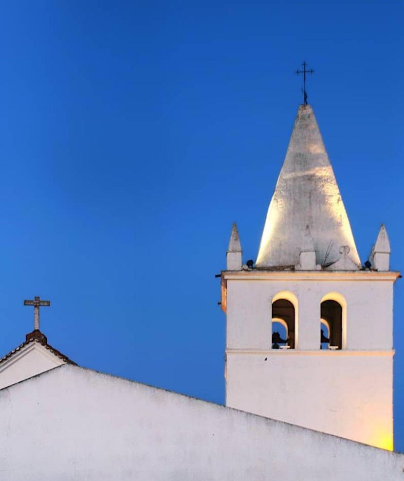 فيلا Nova Quinta Moderna Torramo Em Oliveiras, Campo De Laranjas, Na Nacional 2, Alentejo 13750 M2 Torrão المظهر الخارجي الصورة