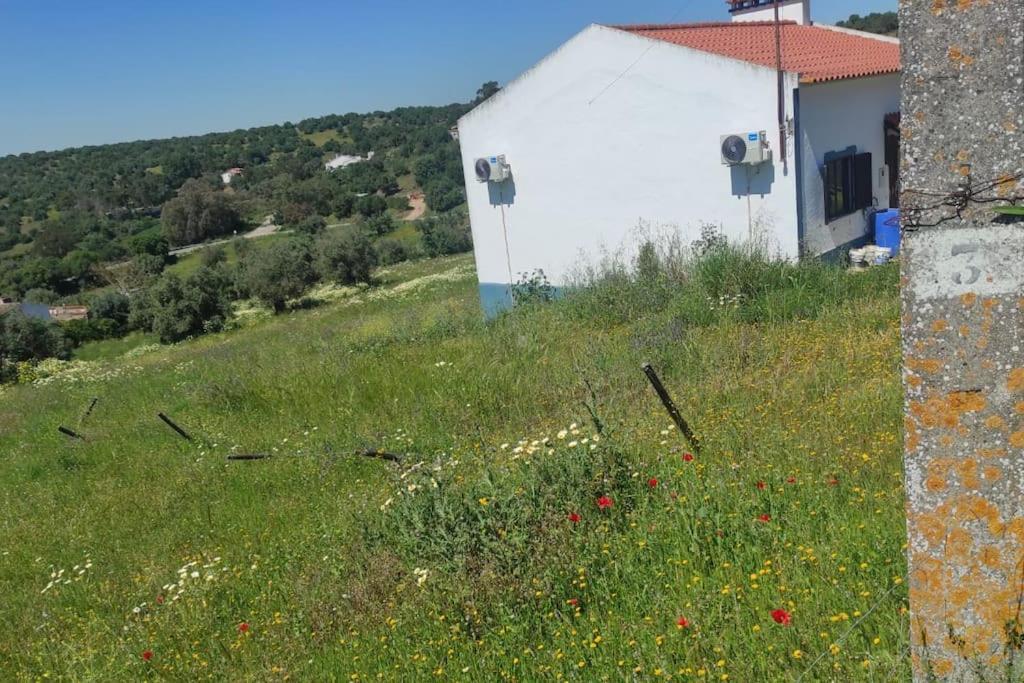 فيلا Nova Quinta Moderna Torramo Em Oliveiras, Campo De Laranjas, Na Nacional 2, Alentejo 13750 M2 Torrão المظهر الخارجي الصورة