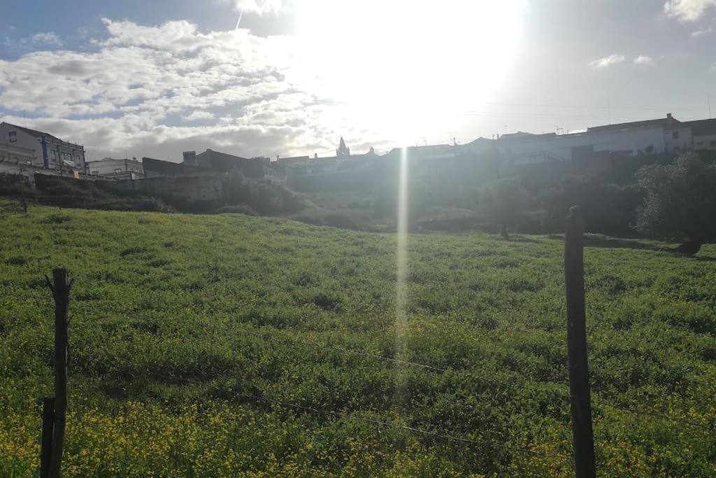 فيلا Nova Quinta Moderna Torramo Em Oliveiras, Campo De Laranjas, Na Nacional 2, Alentejo 13750 M2 Torrão المظهر الخارجي الصورة