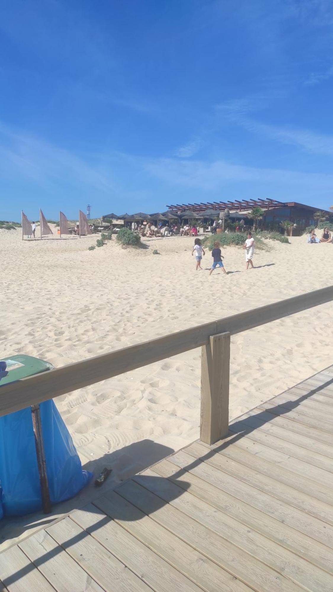 فيلا Nova Quinta Moderna Torramo Em Oliveiras, Campo De Laranjas, Na Nacional 2, Alentejo 13750 M2 Torrão الغرفة الصورة
