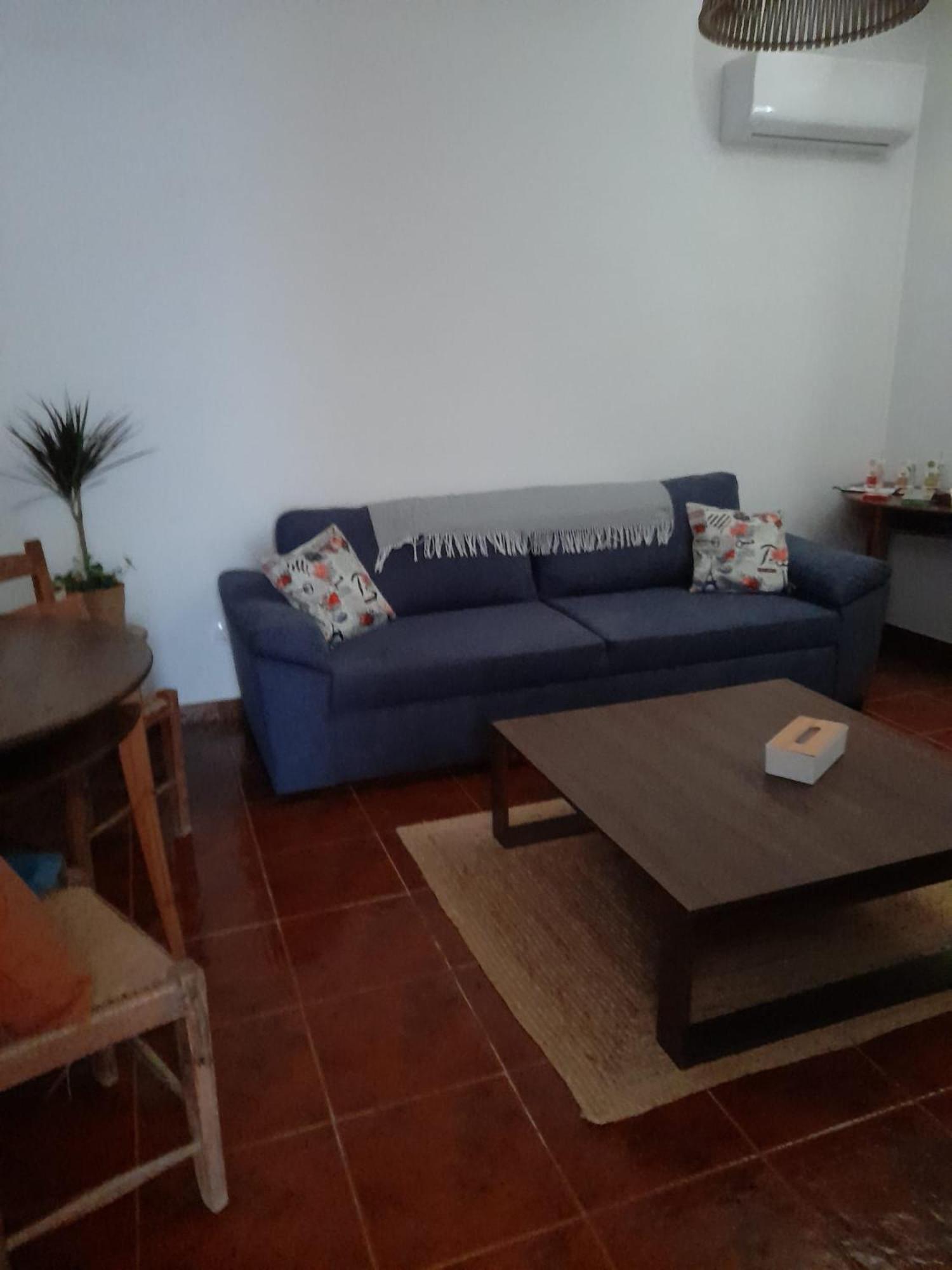 فيلا Nova Quinta Moderna Torramo Em Oliveiras, Campo De Laranjas, Na Nacional 2, Alentejo 13750 M2 Torrão المظهر الخارجي الصورة