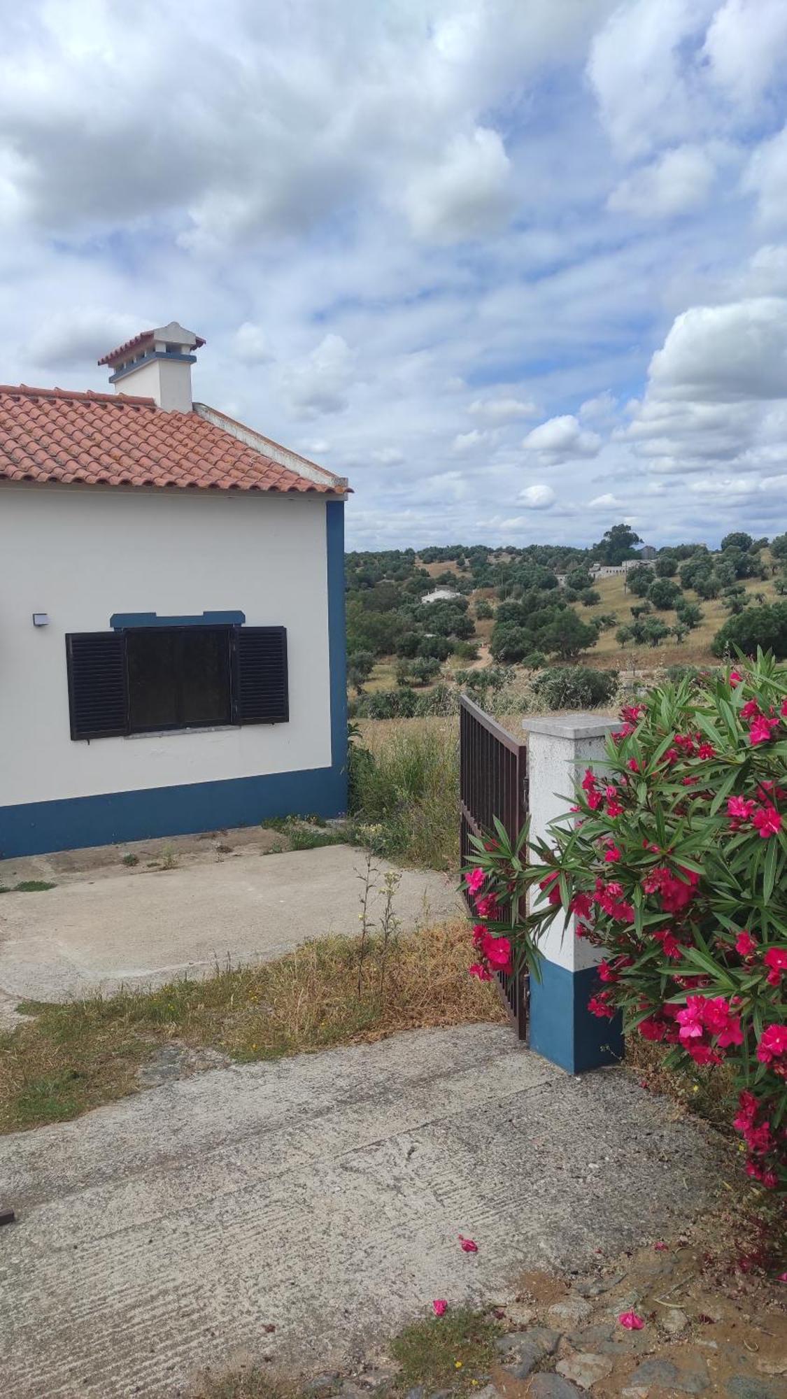 فيلا Nova Quinta Moderna Torramo Em Oliveiras, Campo De Laranjas, Na Nacional 2, Alentejo 13750 M2 Torrão المظهر الخارجي الصورة