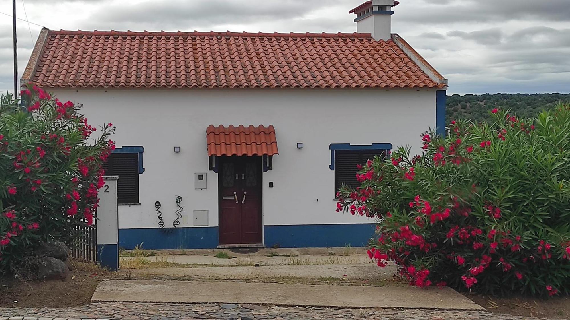 فيلا Nova Quinta Moderna Torramo Em Oliveiras, Campo De Laranjas, Na Nacional 2, Alentejo 13750 M2 Torrão المظهر الخارجي الصورة