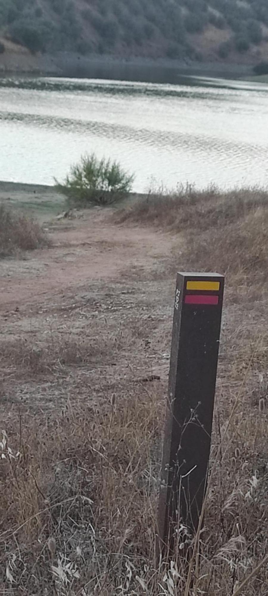 فيلا Nova Quinta Moderna Torramo Em Oliveiras, Campo De Laranjas, Na Nacional 2, Alentejo 13750 M2 Torrão المظهر الخارجي الصورة