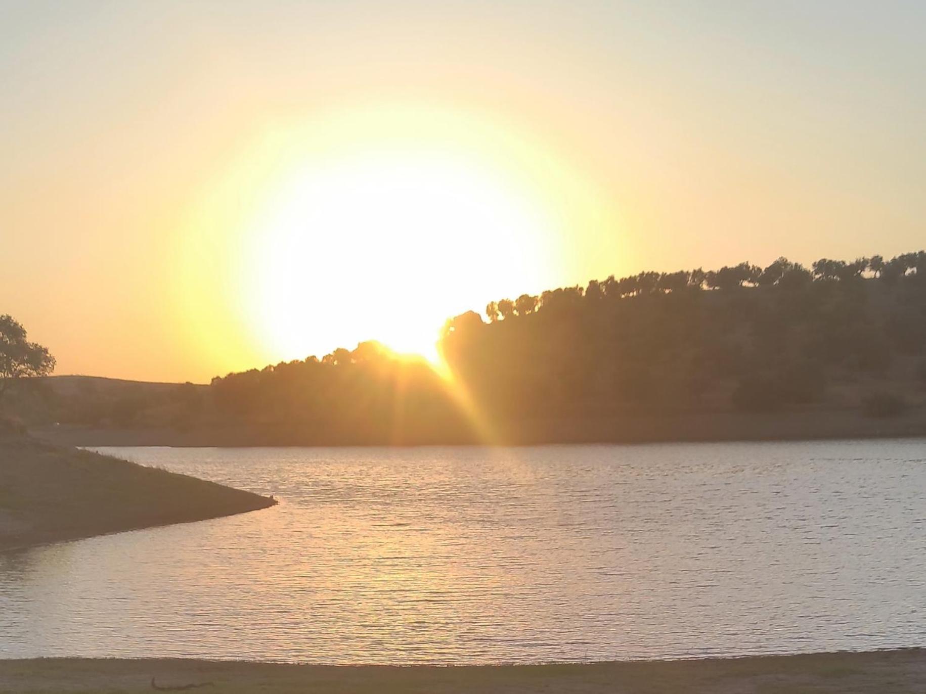 فيلا Nova Quinta Moderna Torramo Em Oliveiras, Campo De Laranjas, Na Nacional 2, Alentejo 13750 M2 Torrão المظهر الخارجي الصورة