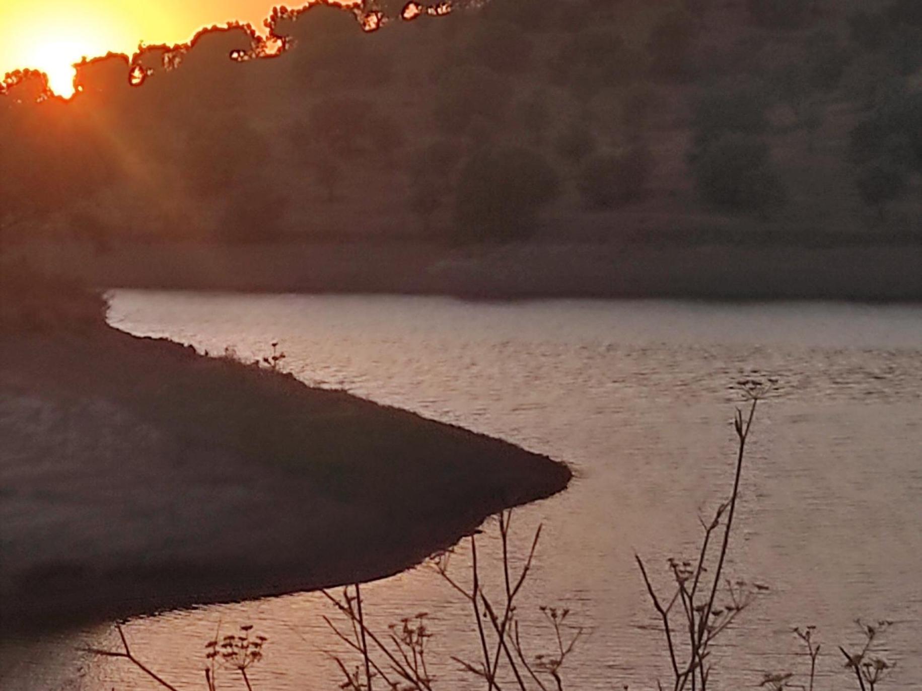 فيلا Nova Quinta Moderna Torramo Em Oliveiras, Campo De Laranjas, Na Nacional 2, Alentejo 13750 M2 Torrão المظهر الخارجي الصورة