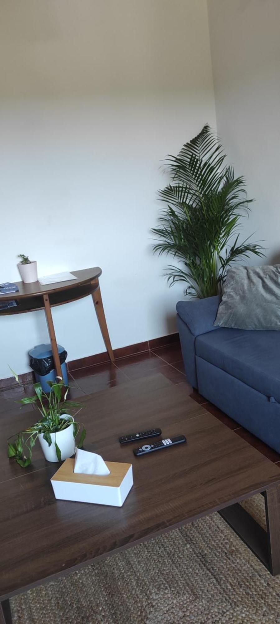 فيلا Nova Quinta Moderna Torramo Em Oliveiras, Campo De Laranjas, Na Nacional 2, Alentejo 13750 M2 Torrão المظهر الخارجي الصورة