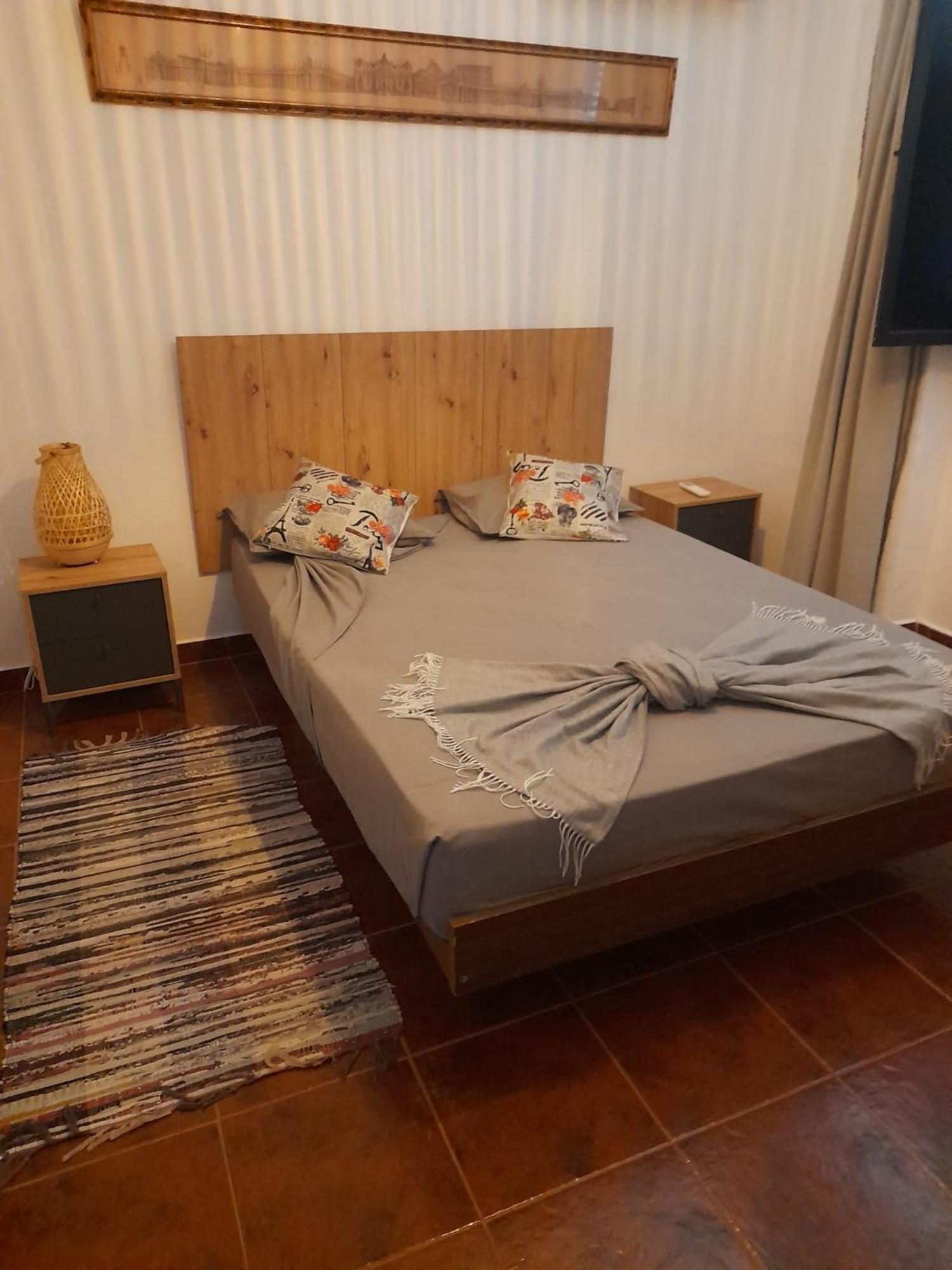فيلا Nova Quinta Moderna Torramo Em Oliveiras, Campo De Laranjas, Na Nacional 2, Alentejo 13750 M2 Torrão المظهر الخارجي الصورة